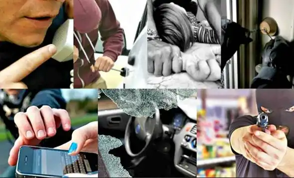 Hurto - Código Penal Artículo 239